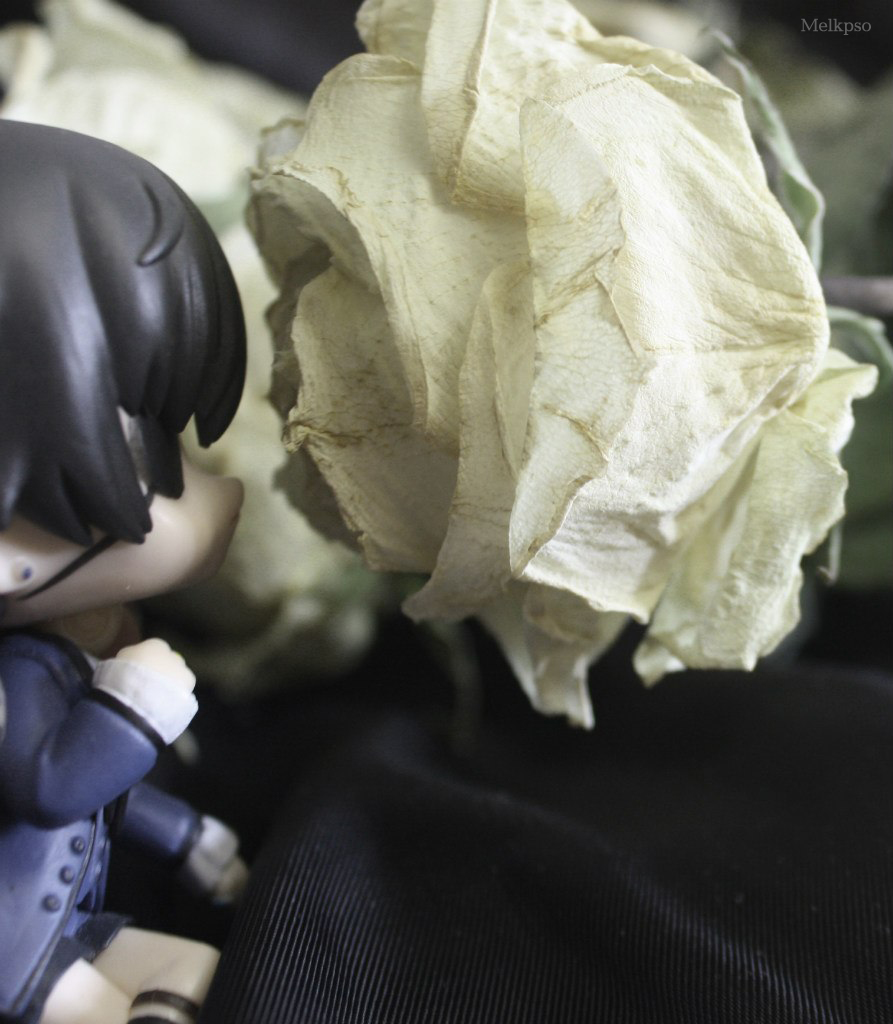 Ciel nendoroid smelling a rose