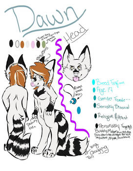 Dawn the FolfCoon REF