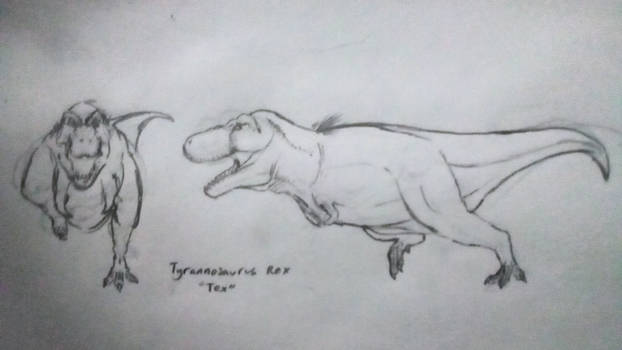Dino drawing I did a while ago