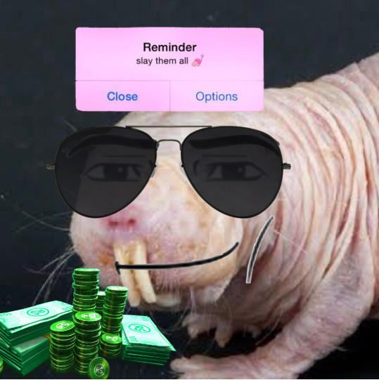 Mole rat matching pfp2 by poshxdoll on DeviantArt