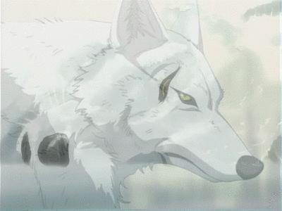 Wolf's Rain - Kiba