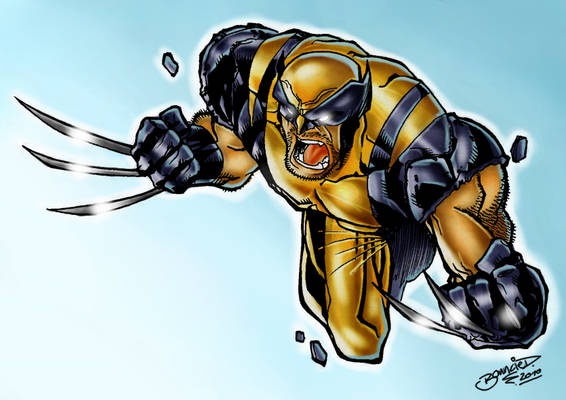 Wolverine by Barberi Colorjob