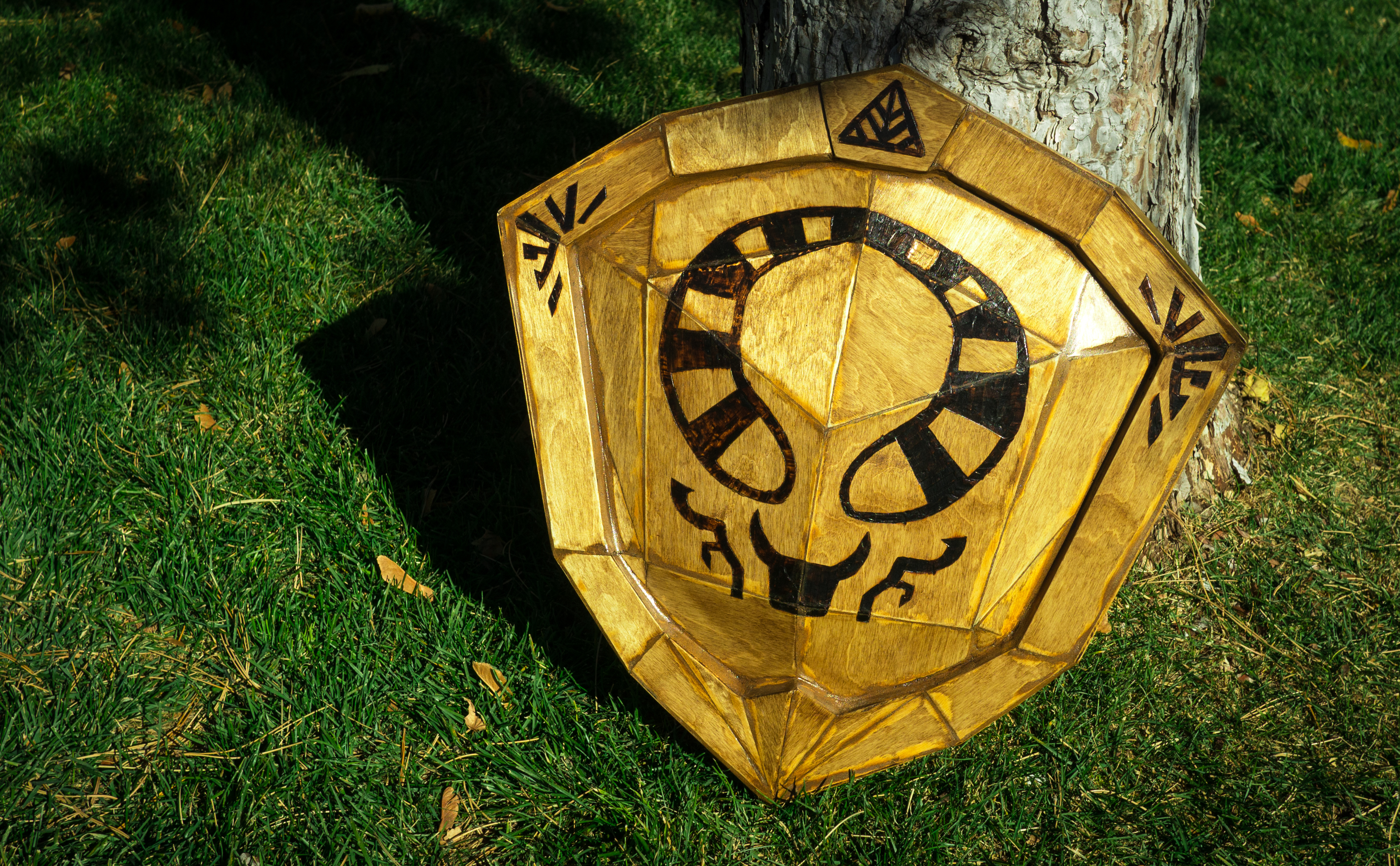 Ordon Shield