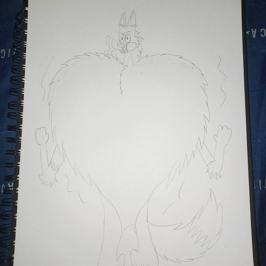 Wolf Inflation Chest inflation Mr. D the dire wolf by redharuhito on DeviantArt