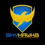 SkyHawks Logo