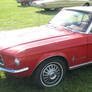 Classic Ford Mustang