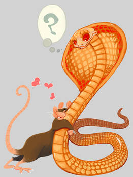 Rat Loves Snake