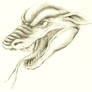 Dragon Head