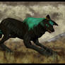 Nightpelt in Autumn