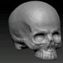 Skull_02