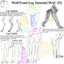 Wolf Front Leg Tutorial