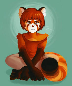 Red panda