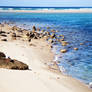 The beach at midday.