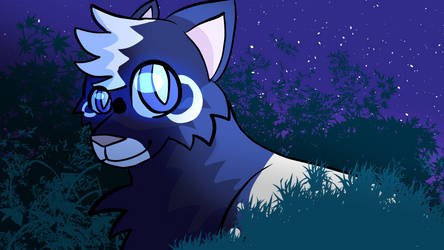 Nightpaw