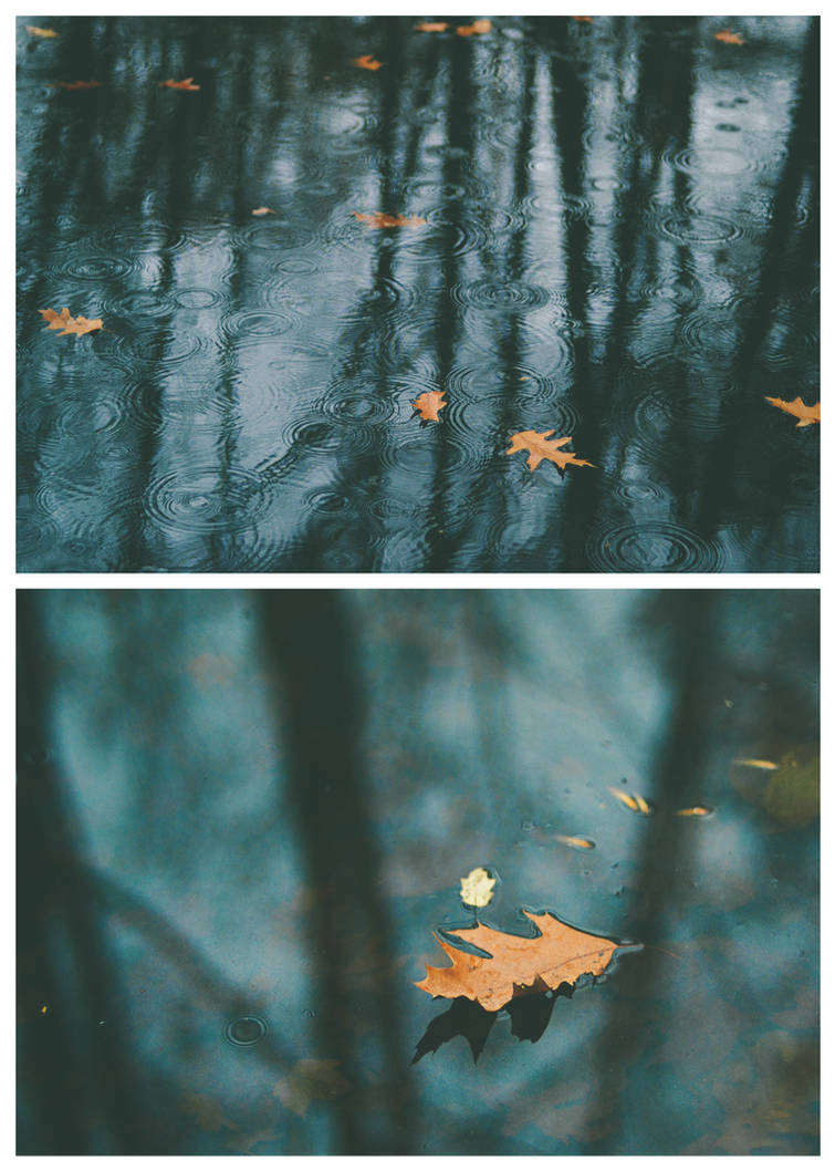 Silent Autumn by MeishkaBokeh Silent Autumn by MeishkaBokeh
