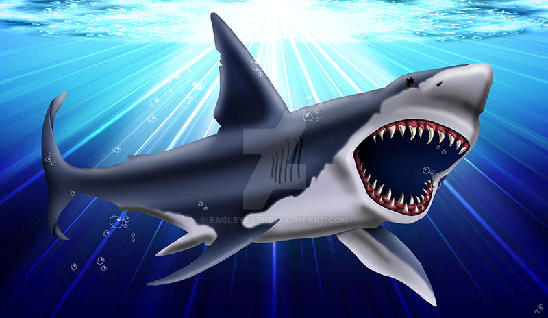 Shark Deviantart Shark by eagleyes75 on DeviantArt