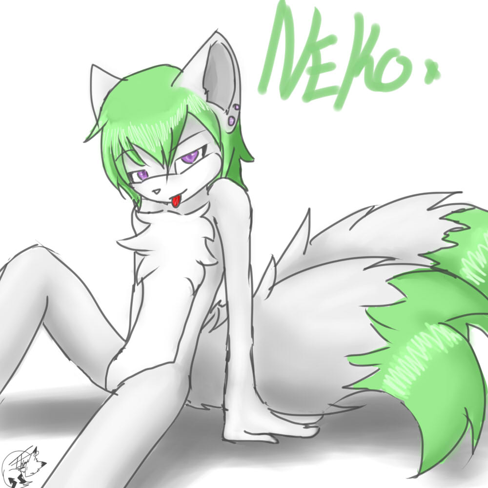 New Neko 