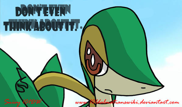 Snivy ''Don't Even Think About It''