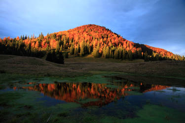 Sunrise on the Padish Plateau