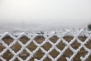 Winter is Sitting on the Fence