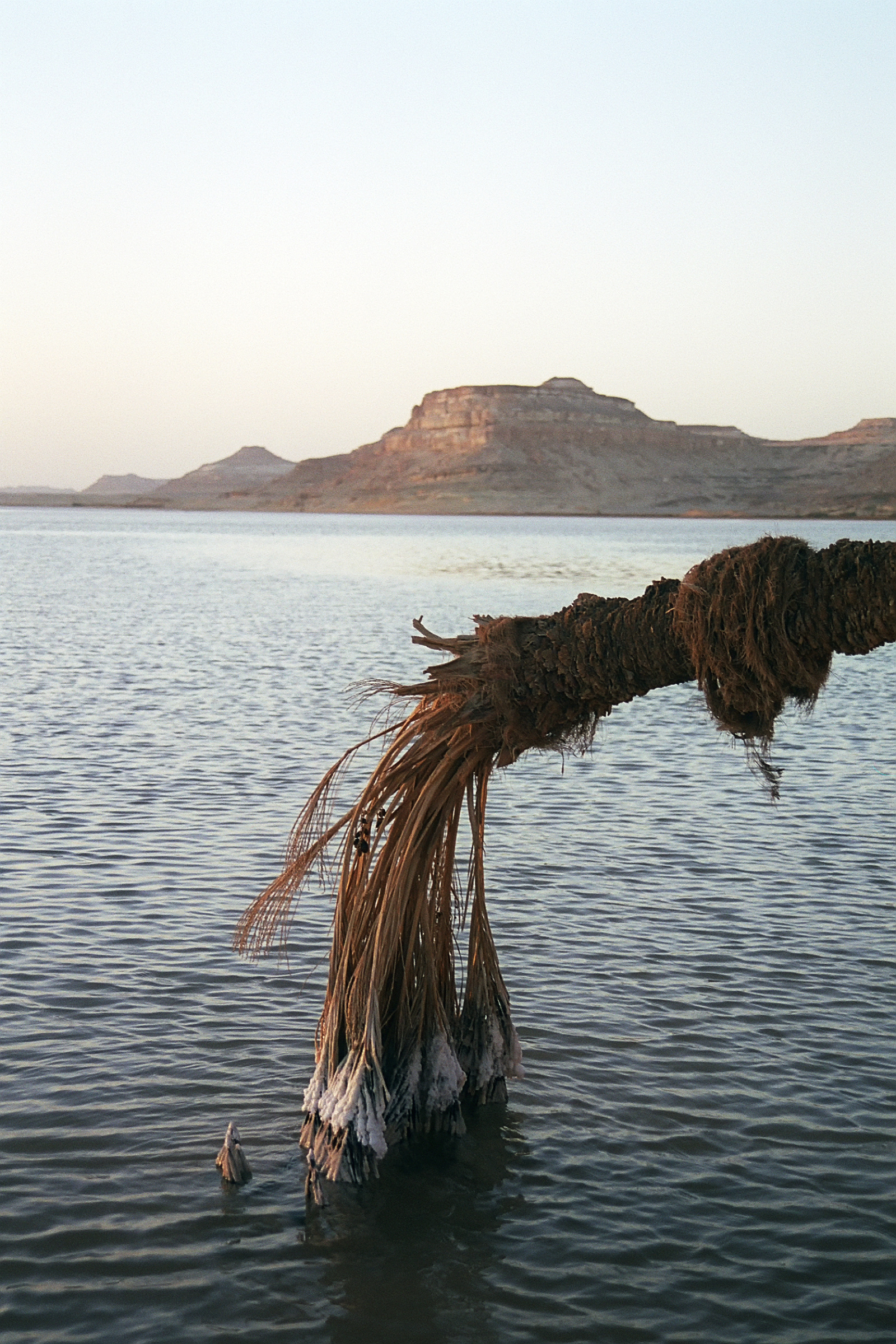 Birket Siwa, Egypt