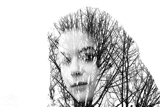 Memory of the Trees (Double Exposure)