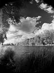 Cotton Lake Infrared by HoremWeb