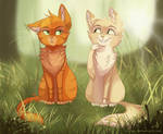 Fireheart and Sandstorm by Vilina