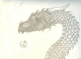 Dragon Profile Shaded