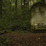Ancient Grove II