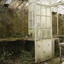 Abandoned Greenhouse