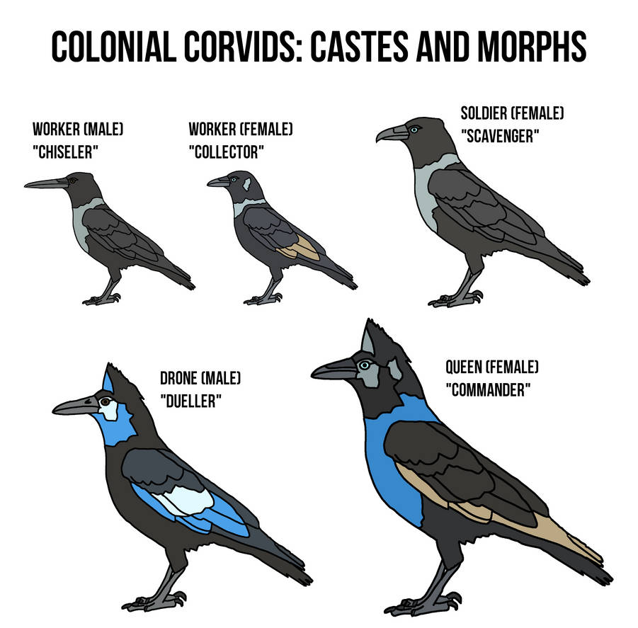 Colonial Corvid - Corvus eusocialis by Rauisuchian on DeviantArt