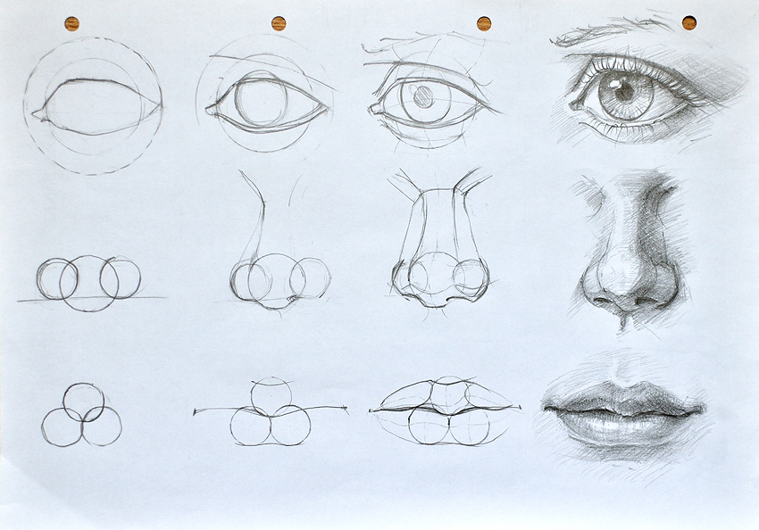 How To Draw Facial Features Step By Step
