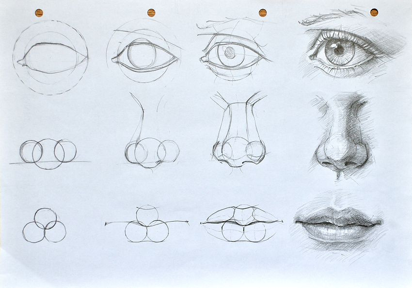 Learn How to Draw: Features of the Face