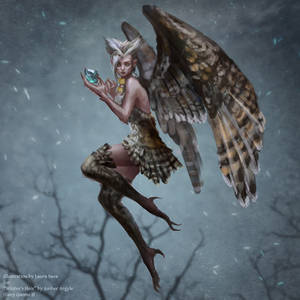 Owl fairy