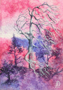 Tree corpse ACEO