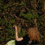 Eclipse Diva