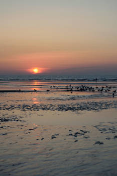Peaceful sunset III