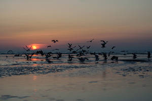 Peaceful sunset IV