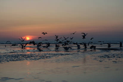 Peaceful sunset IV
