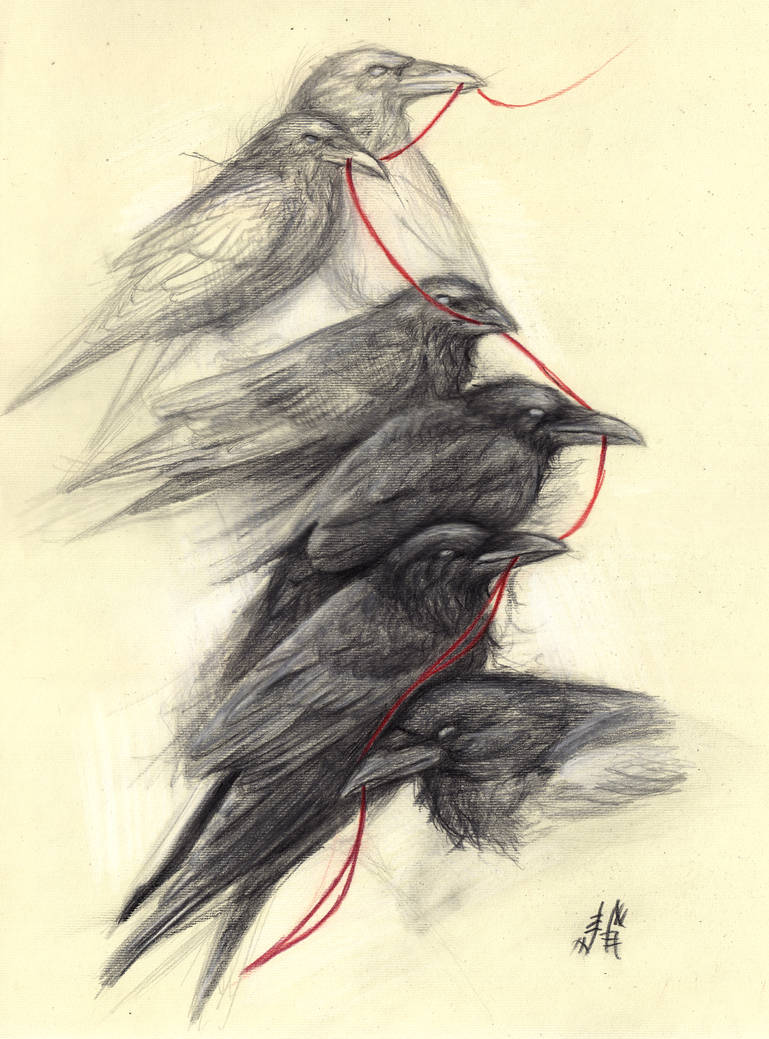 Crows of fate