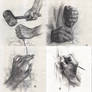 Hand studies