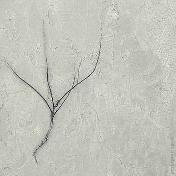 Nature Morte by NanisKa