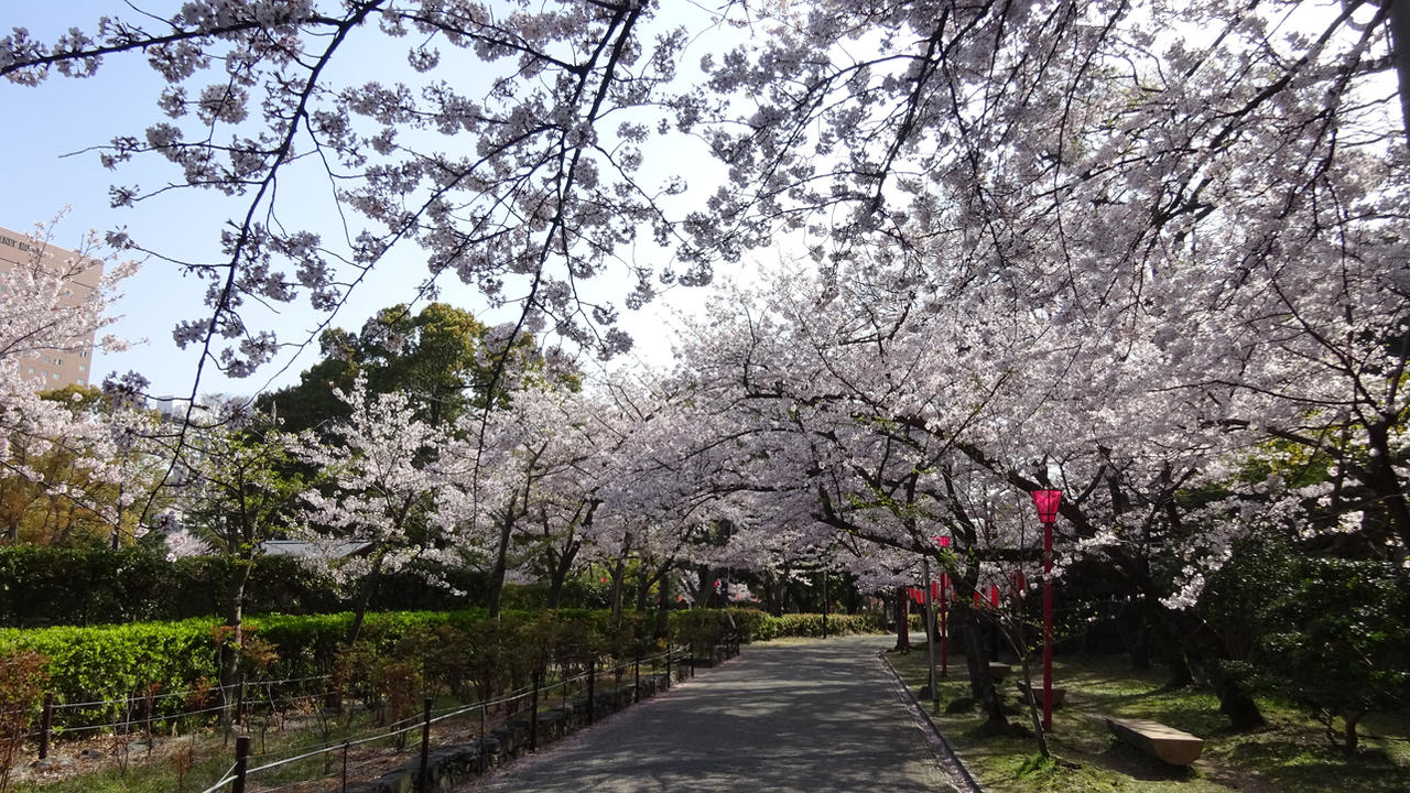 Tight Contests at Kamitonda Sports Center