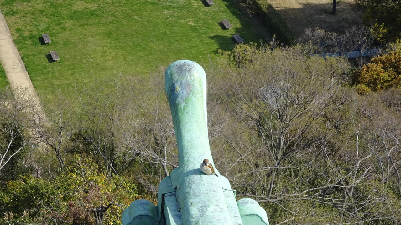 Wakayama Castle by myjapanme on DeviantArt