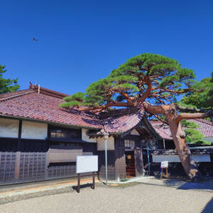 Homma Residence, Sakata, 1