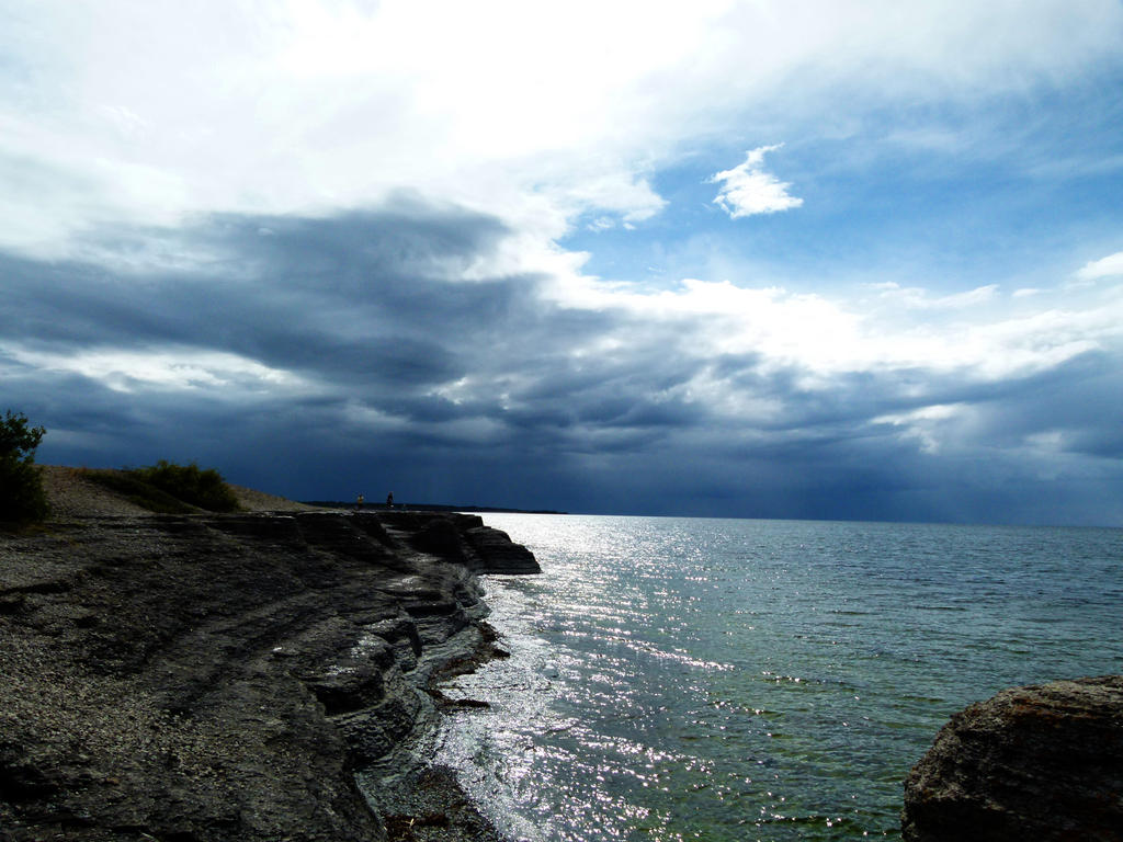 Rauk by Michawolf13 on DeviantArt