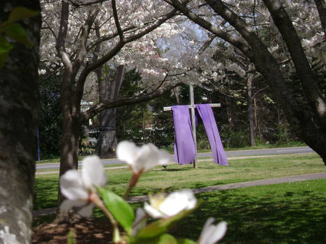 Lent in Matthews, NC 2019 15