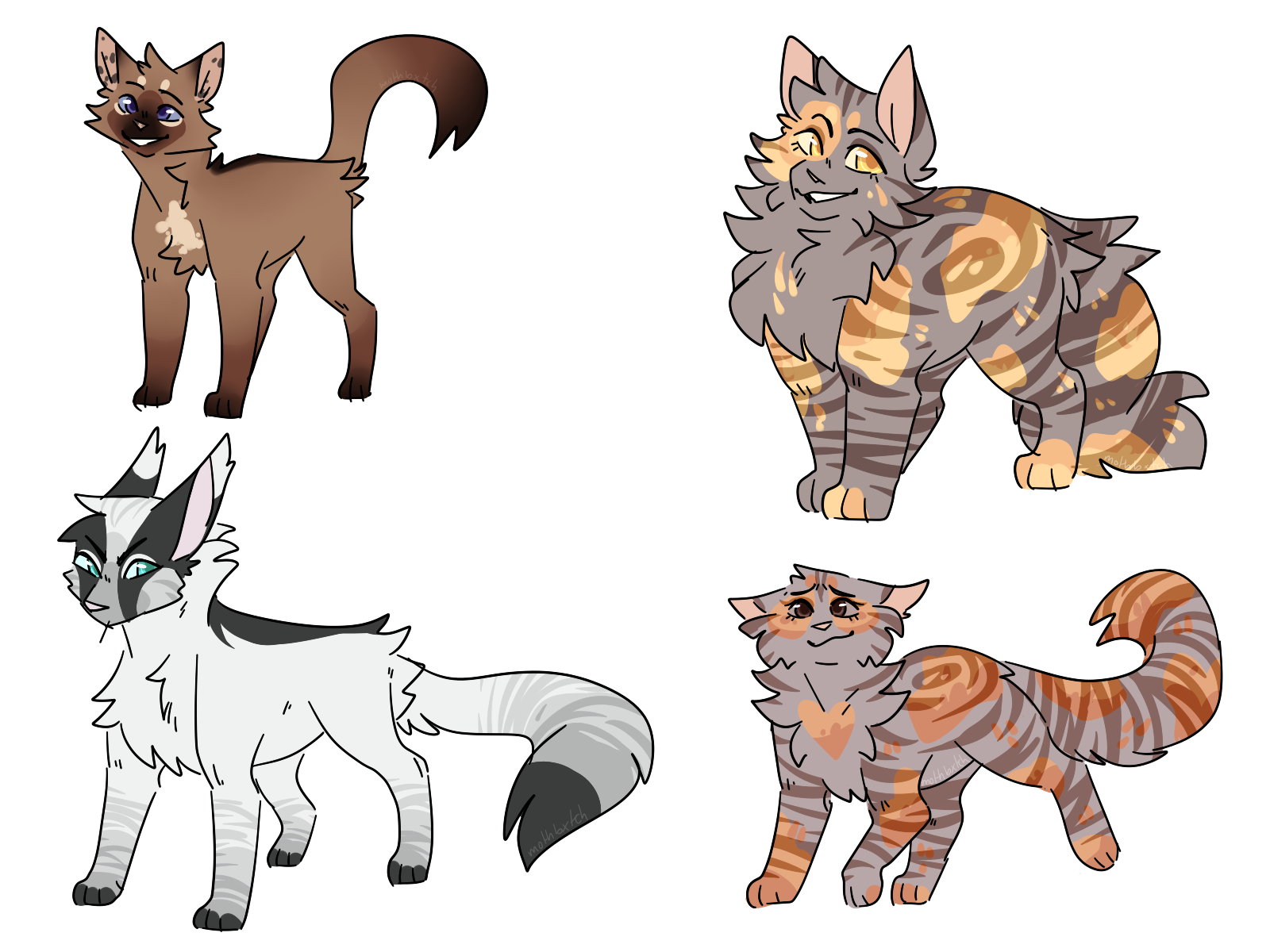 Warrior cats oc generator