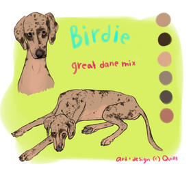 birdie design contest entry by capnquills